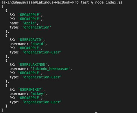 aws dynamodb documentclient query example
