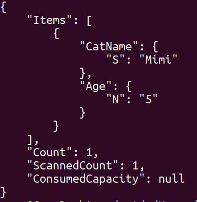 aws dynamodb query example cli