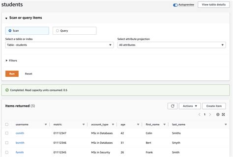 aws dynamodb update-item example