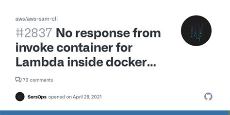 Aws Lambda No Response From Invoke Container