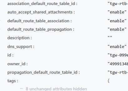 aws_ec2_transit_gateway_route_table_association terraform