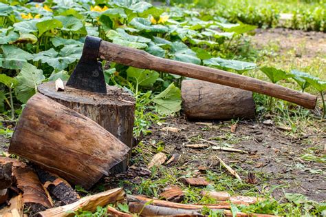 Axe and log