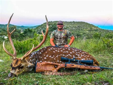 Axis Deer Texas Hunt