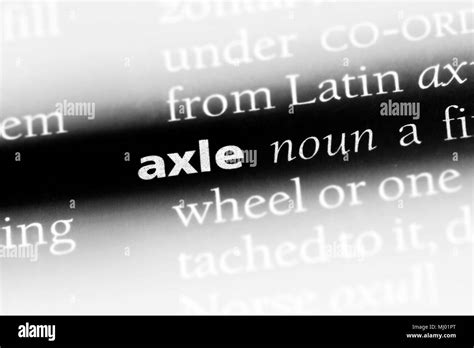 Axle Spanish Dictionary