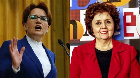 ayşenur arslan meral akşener