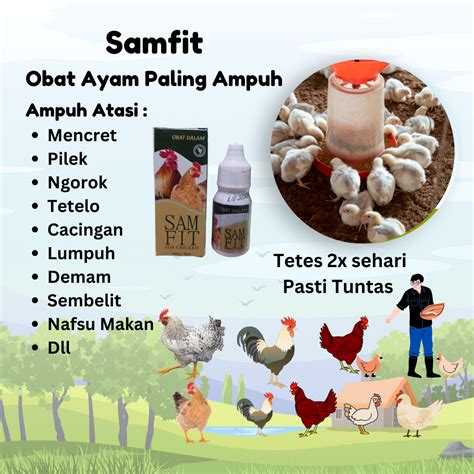 Ayam Mencret