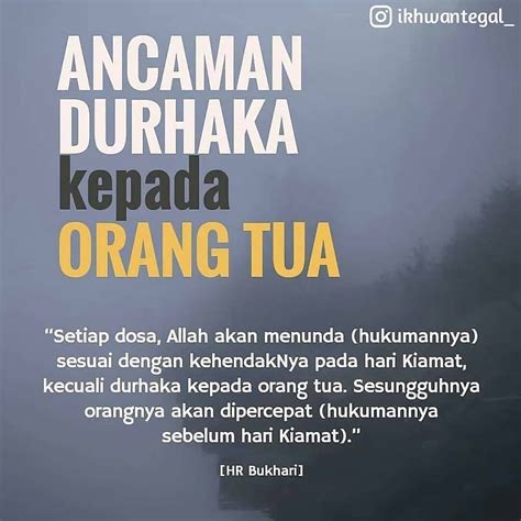 ayat tentang orang tua