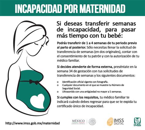 ayuda por maternidad seguridad social