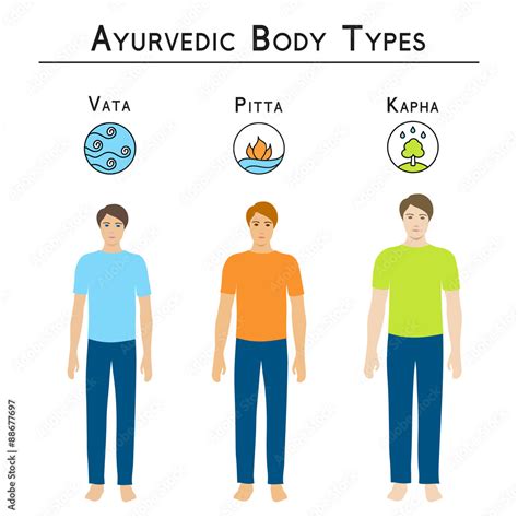 Ayurvedic Body Types Description