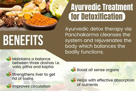 Ayurvedic Detox Process