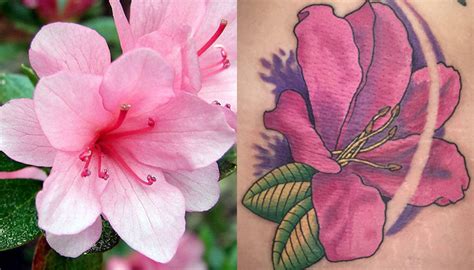 +21 Azalea Flower Tattoo Designs 2023