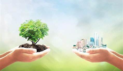 Ridurre l’impatto e i rischi ambientali nelle aziende: misure e