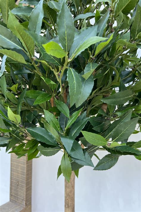 B&M Artificial Bay Tree