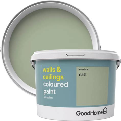 B&Q Paint Limerick