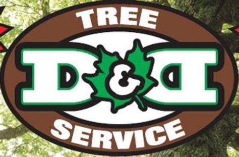 b and d tree service