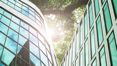 Reviews B E G Com Viral