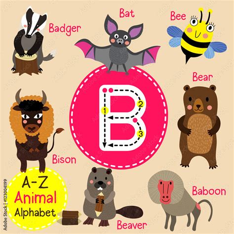 b is for bear beaver and bee