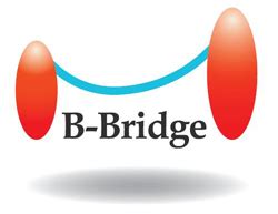 b-bridge international