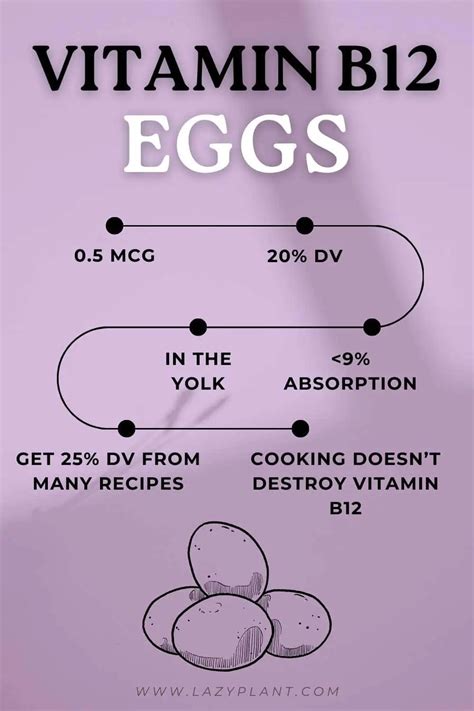 Cracking the Myth: Can You Really Get Enough B12 from Eggs?