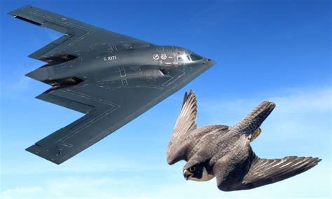 B2 Next To Falcon