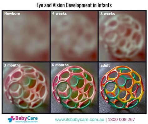 Baby's Eyesight