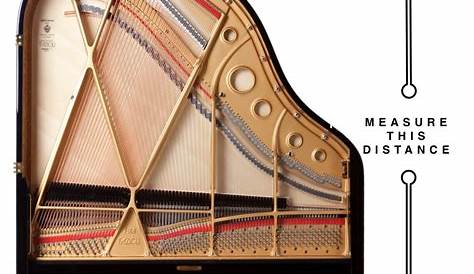 Suzuki Acoustic Grand Pianos Baby grand piano dimensions