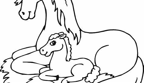 Baby Horses Coloring Pages Coloring Home