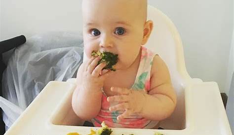 Baby Led Weaning Clothes Ideas The Complete Guide To A2 Nutrition