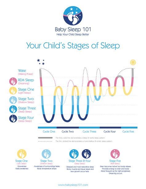 Baby Sleep Cycles By Age