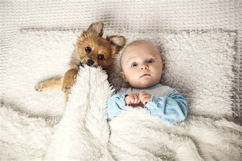Baby Sleep With Dog