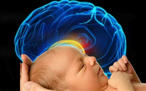 How Your Baby’s Brain Grows and Develops During the First Year
