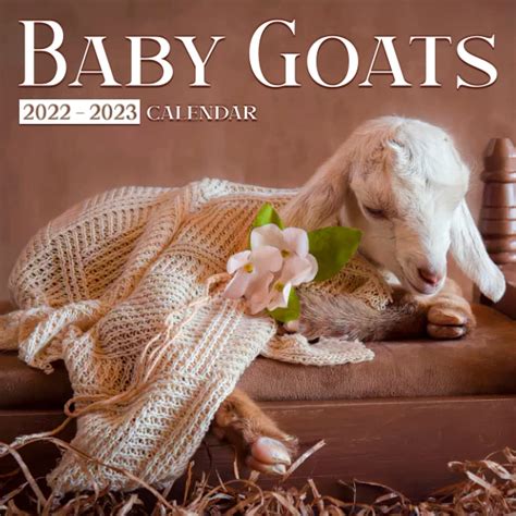 baby goat calendar 2022