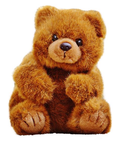 baby teddy bear png
