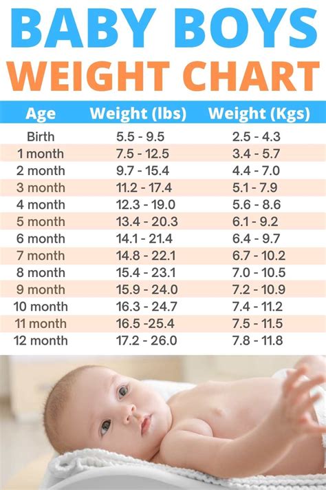 24 Baby Weight Charts Template Lab