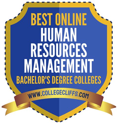 bachelor's degree in human resources