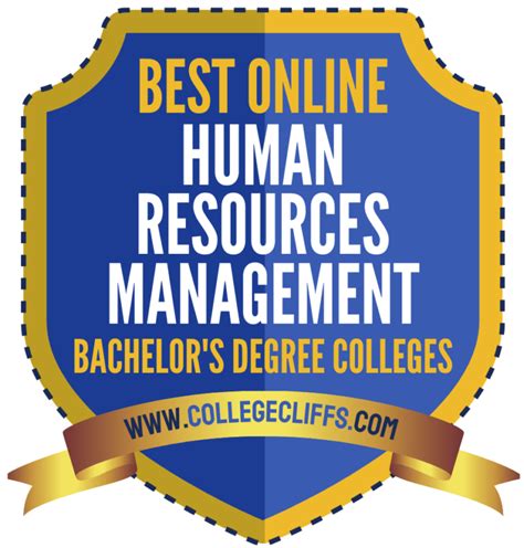 bachelor's degree in human resources mn