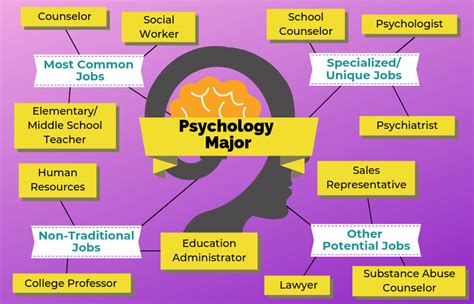 bachelor degree psychology majors
