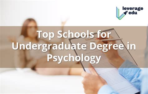 bachelor psychology degree programs