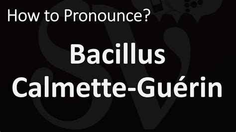bacille calmette guerin pronunciation