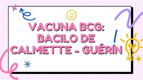 bacilo de calmette guerin