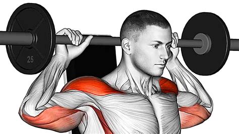 Back And Shoulder Exercises With Barbell