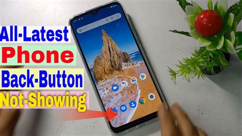 back button not showing android
