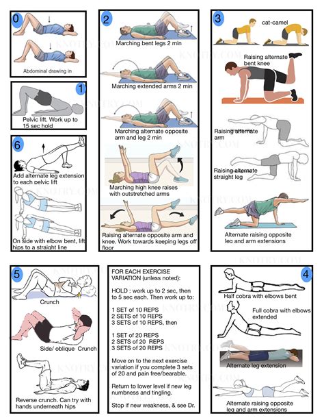 back care exercises pdf