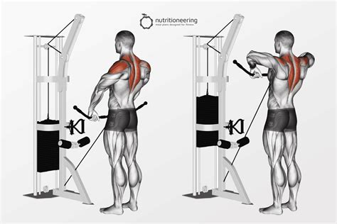 Back Exercises Cable Pull