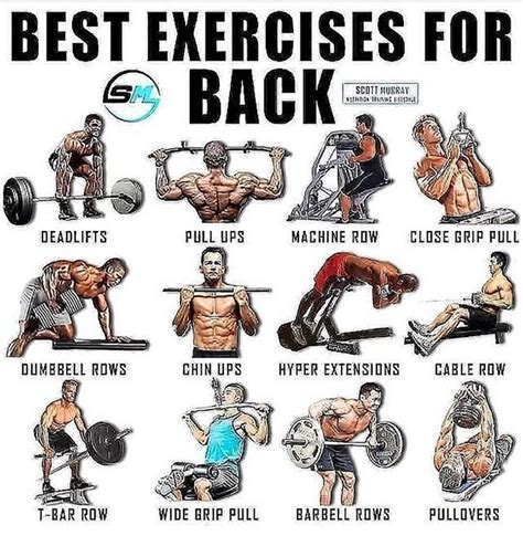 back exercises in gym