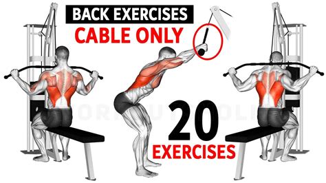 back exercises in gym using cable