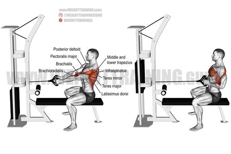 Back Exercises Row