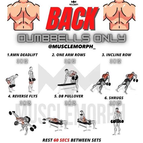 back exercises with dumbbells reddit