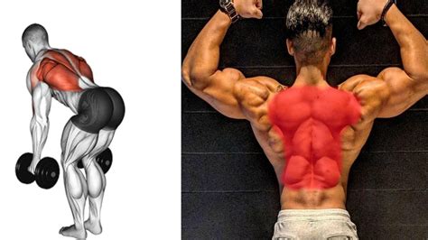 back exercises with dumbbells youtube