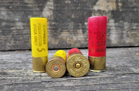 Back Packing With 12 Gauge